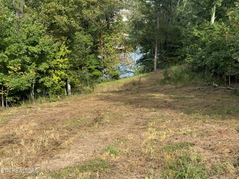 Tiny photo for 1758 N Wilkerson Rd, Knoxville, TN 37922 (MLS # 1358411)