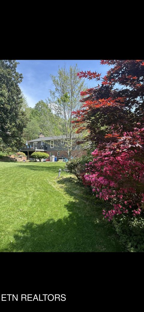 Tiny photo for 903 Bathurst Rd, Knoxville, TN 37909 (MLS # 1331850)