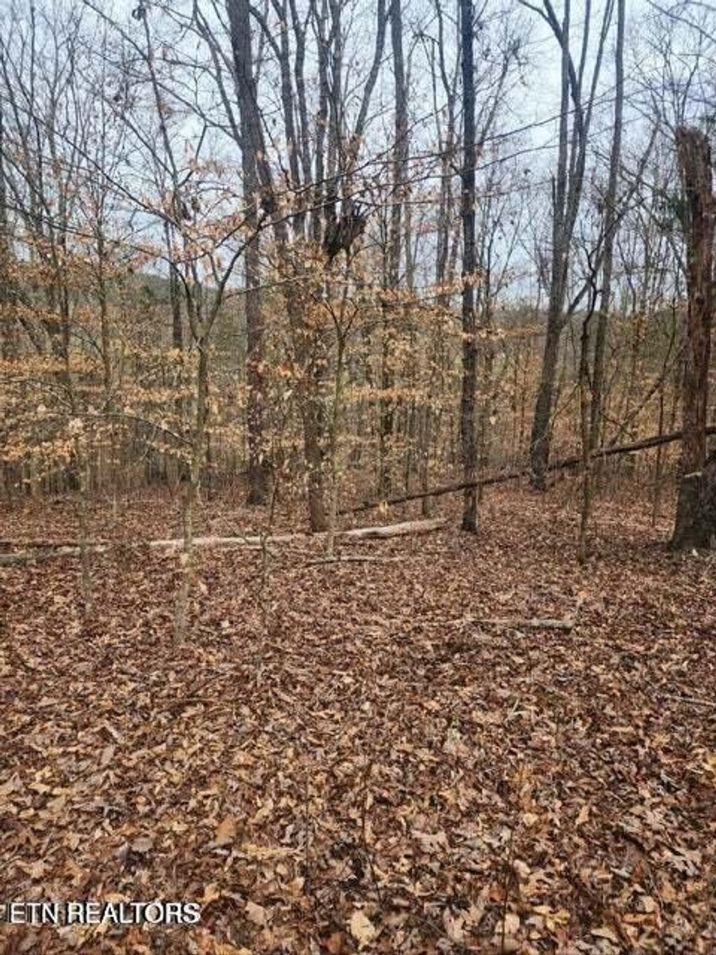 Photo of Upper Concord Rd, Ten Mile, TN 37880 (MLS # 1342414)
