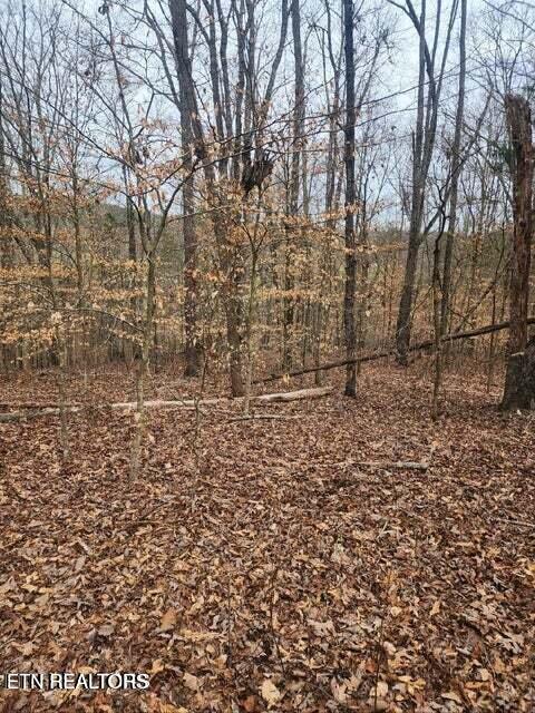 Tiny photo for Upper Concord Rd, Ten Mile, TN 37880 (MLS # 1342414)