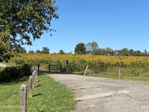 Tiny photo for 3016 Williams Rd, Knoxville, TN 37932 (MLS # 1317596)