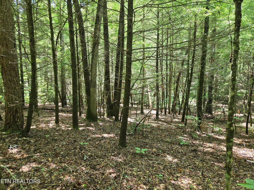 Photo of 523 General Lane, Jamestown, TN 38556 (MLS # 1328429)