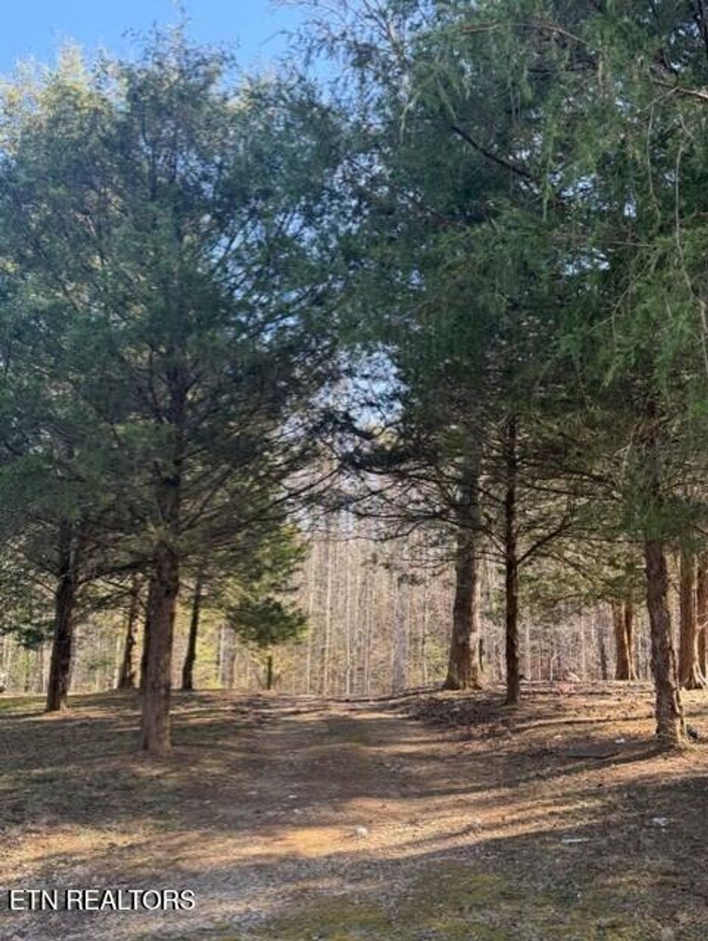 Photo of 147 Shields Branch Rd, Tellico Plains, TN 37385 (MLS # 1327201)