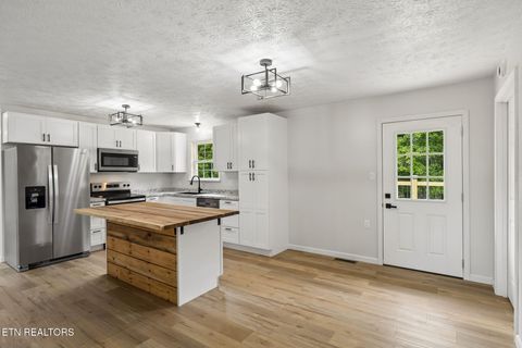 Tiny photo for 158 Whitaker Drive, Tazewell, TN 37879 (MLS # 1343182)