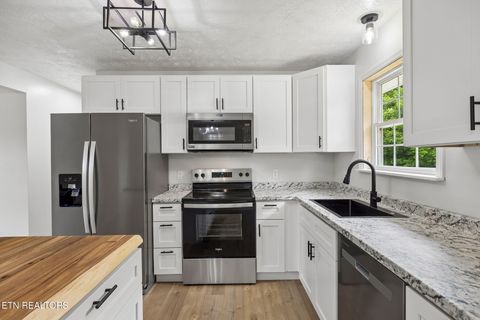 Tiny photo for 158 Whitaker Drive, Tazewell, TN 37879 (MLS # 1343182)