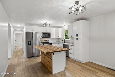 Tiny photo for 158 Whitaker Drive, Tazewell, TN 37879 (MLS # 1343182)