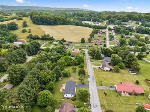 Tiny photo for 158 Whitaker Drive, Tazewell, TN 37879 (MLS # 1343182)