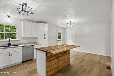 Tiny photo for 158 Whitaker Drive, Tazewell, TN 37879 (MLS # 1343182)