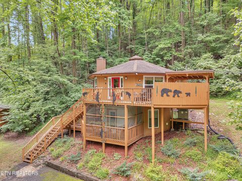 1157 Villa Lane Gatlinburg TN 37738