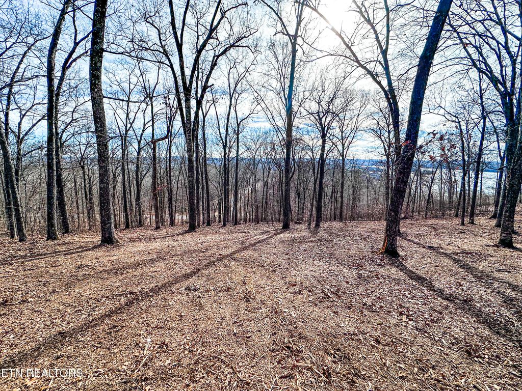 Photo of Grand Vista Drive, Rockwood, TN 37854 (MLS # 1288168)