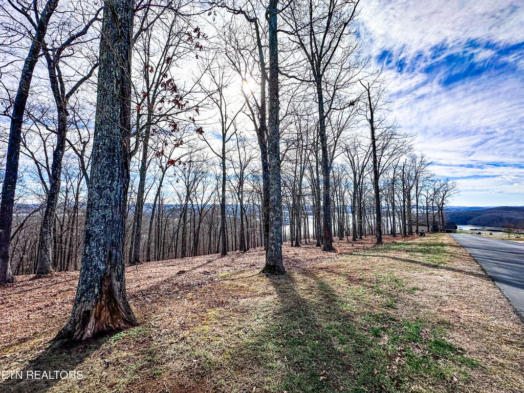 Photo of Grand Vista Drive, Rockwood, TN 37854 (MLS # 1288168)