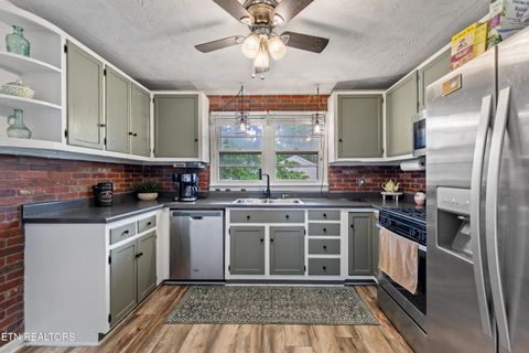 Tiny photo for 508 W Hemlock St, LaFollette, TN 37766 (MLS # 1342677)