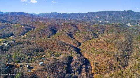 Tiny photo for 2430 Rainbow Falls Lane, Sevierville, TN 37862 (MLS # 1324685)