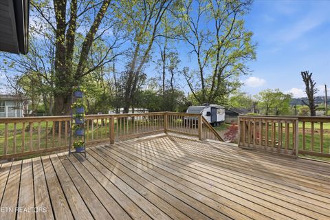 Tiny photo for 5028 Mcintyre Rd, Knoxville, TN 37914 (MLS # 1335010)