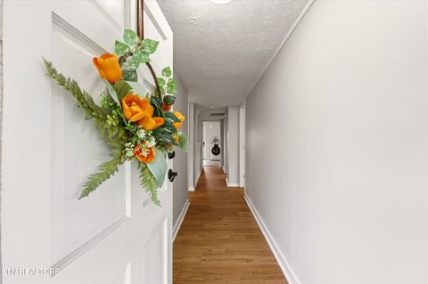 Tiny photo for 5028 Mcintyre Rd, Knoxville, TN 37914 (MLS # 1335010)