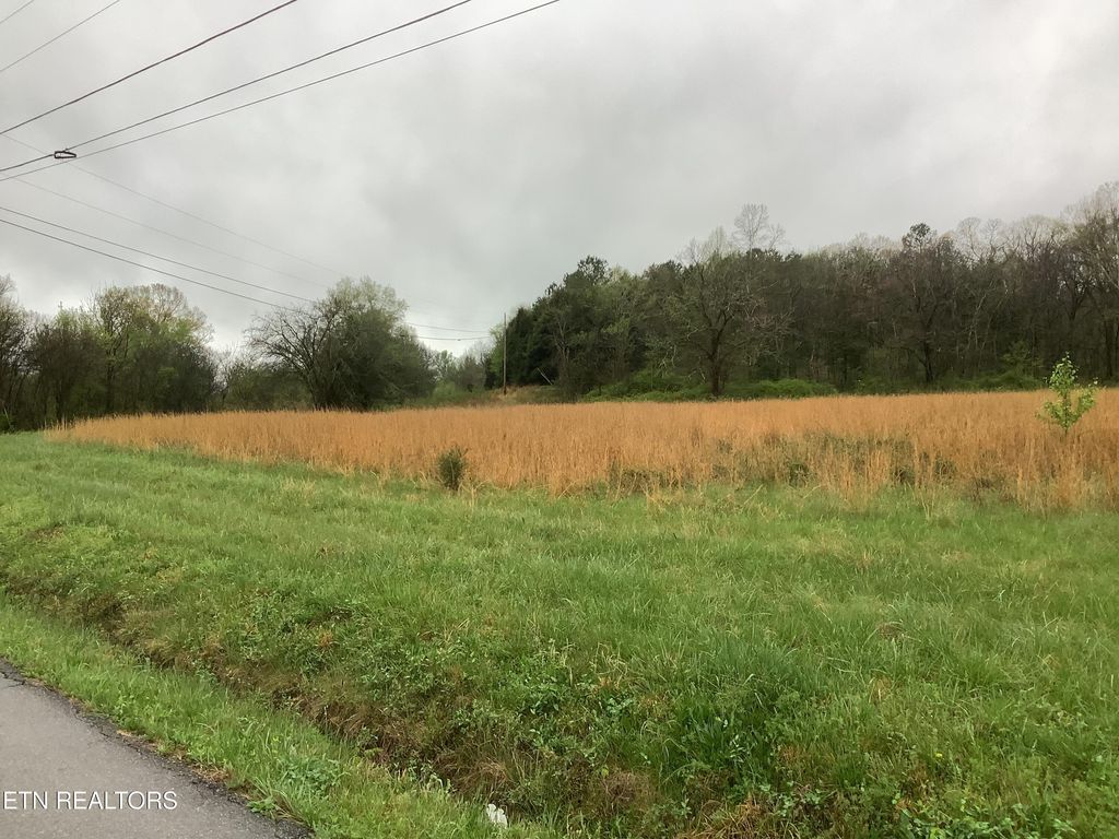 Photo of 133 Woods Hollow Rd, Decatur, TN 37322 (MLS # 1339336)