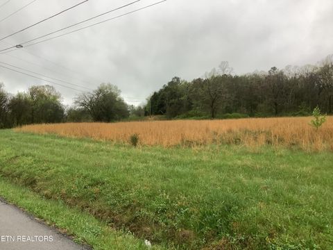 Photo of 133 Woods Hollow Rd, Decatur, TN 37322 (MLS # 1339336)