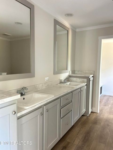 Tiny photo for 224 Sable Rd, Spring City, TN 37381 (MLS # 1337913)