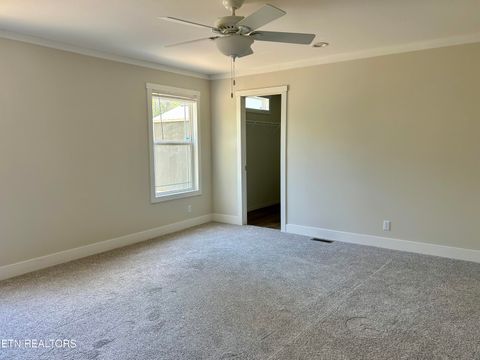 Tiny photo for 224 Sable Rd, Spring City, TN 37381 (MLS # 1337913)