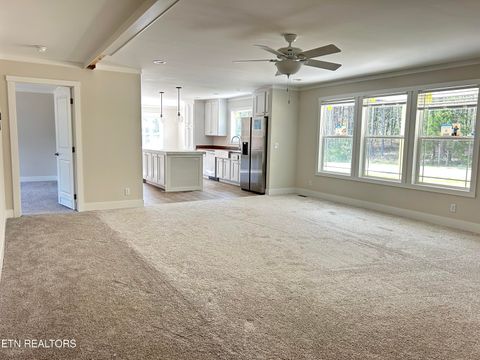 Tiny photo for 224 Sable Rd, Spring City, TN 37381 (MLS # 1337913)