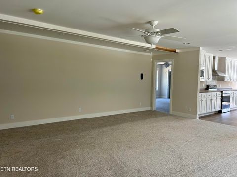 Tiny photo for 224 Sable Rd, Spring City, TN 37381 (MLS # 1337913)