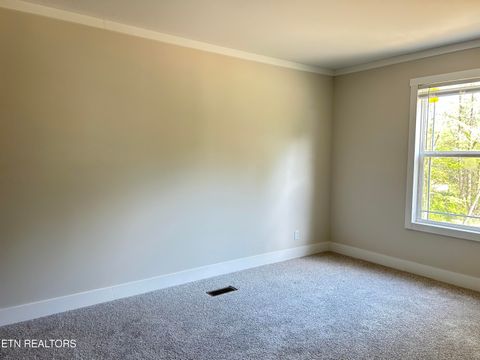 Tiny photo for 224 Sable Rd, Spring City, TN 37381 (MLS # 1337913)