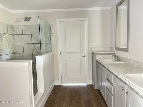 Tiny photo for 224 Sable Rd, Spring City, TN 37381 (MLS # 1337913)