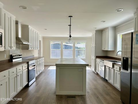 Tiny photo for 224 Sable Rd, Spring City, TN 37381 (MLS # 1337913)