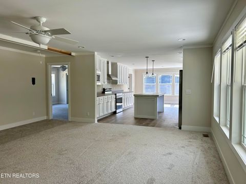 Tiny photo for 224 Sable Rd, Spring City, TN 37381 (MLS # 1337913)