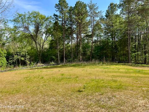 Tiny photo for 224 Sable Rd, Spring City, TN 37381 (MLS # 1337913)