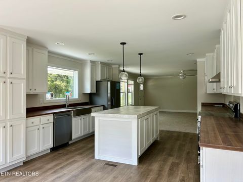 Tiny photo for 224 Sable Rd, Spring City, TN 37381 (MLS # 1337913)