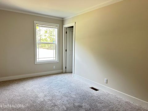 Tiny photo for 224 Sable Rd, Spring City, TN 37381 (MLS # 1337913)