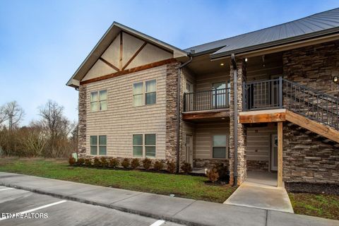 326 Shooting Star Loop 101 Townsend TN 37882