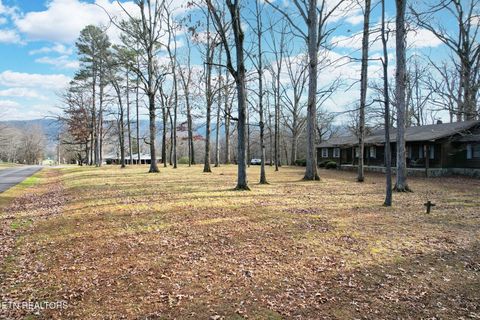 Tiny photo for 304 County Road 475, Etowah, TN 37331 (MLS # 1324732)