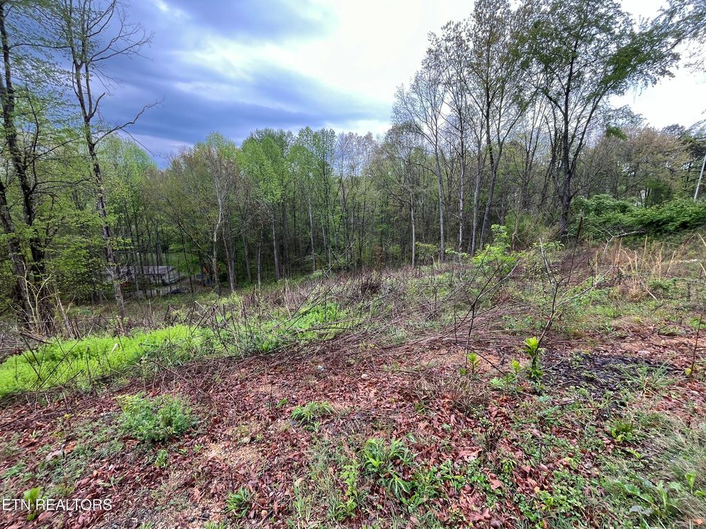 Photo of 8221 Cricket Rd, Powell, TN 37849 (MLS # 1303351)
