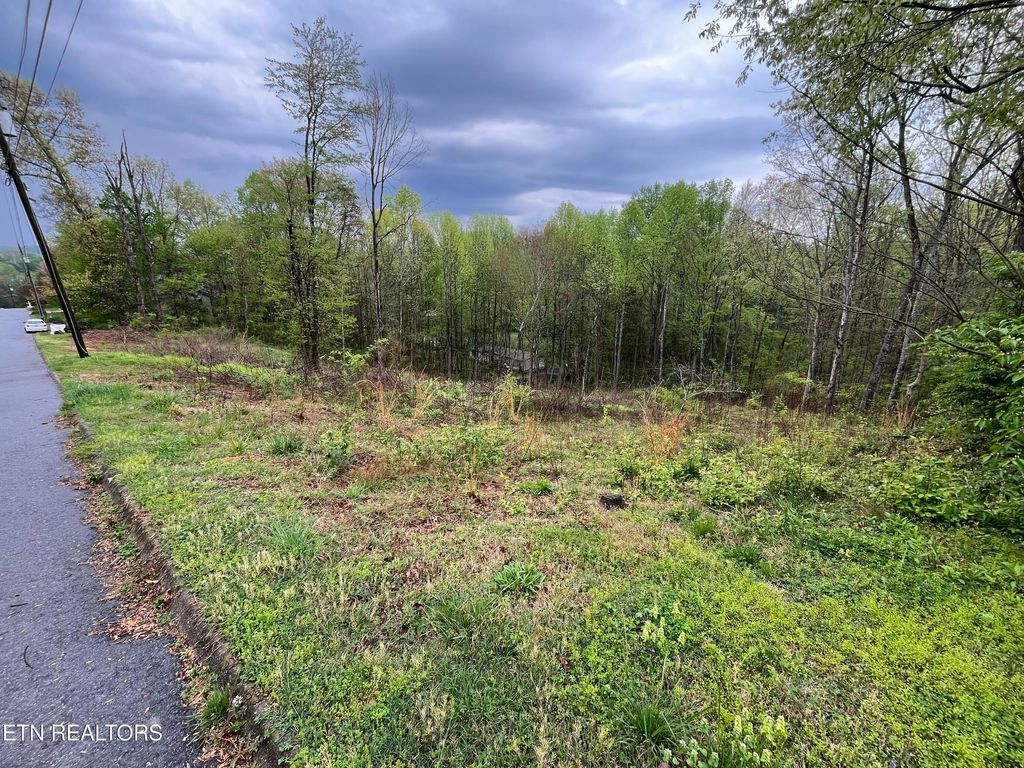 Photo of 8221 Cricket Rd, Powell, TN 37849 (MLS # 1303351)