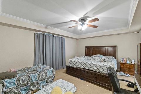 Tiny photo for 180 Alpha Rd, Newport, TN 37821 (MLS # 1322904)