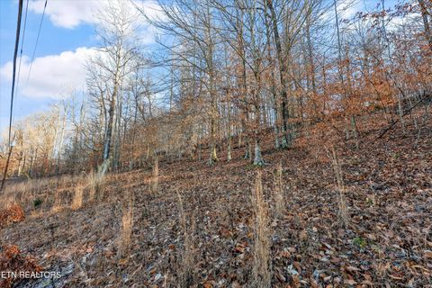 Tiny photo for 845 Yoakum Hollow Rd, Jacksboro, TN 37757 (MLS # 1326818)