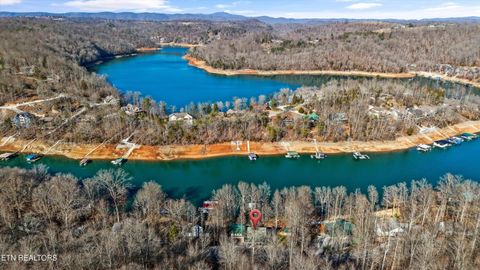 Tiny photo for 845 Yoakum Hollow Rd, Jacksboro, TN 37757 (MLS # 1326818)