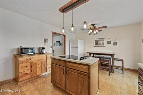 Tiny photo for 845 Yoakum Hollow Rd, Jacksboro, TN 37757 (MLS # 1326818)