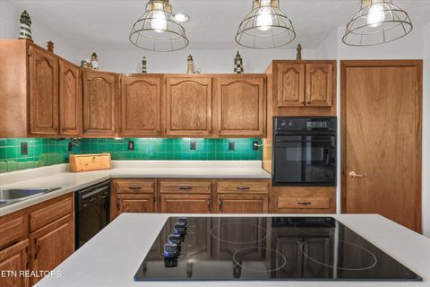 Tiny photo for 845 Yoakum Hollow Rd, Jacksboro, TN 37757 (MLS # 1326818)