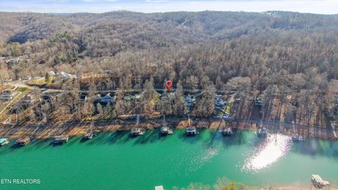 Tiny photo for 845 Yoakum Hollow Rd, Jacksboro, TN 37757 (MLS # 1326818)