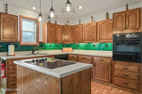 Tiny photo for 845 Yoakum Hollow Rd, Jacksboro, TN 37757 (MLS # 1326818)