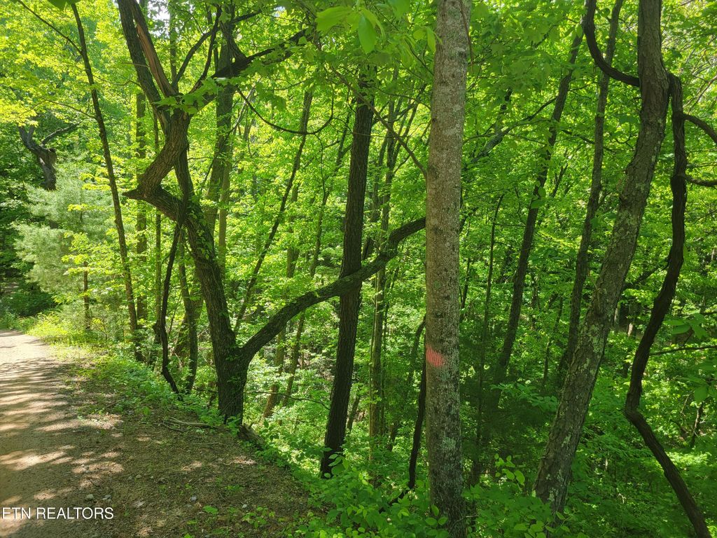 Photo of 8 John Sevier Drive, Sevierville, TN 37876 (MLS # 1300804)