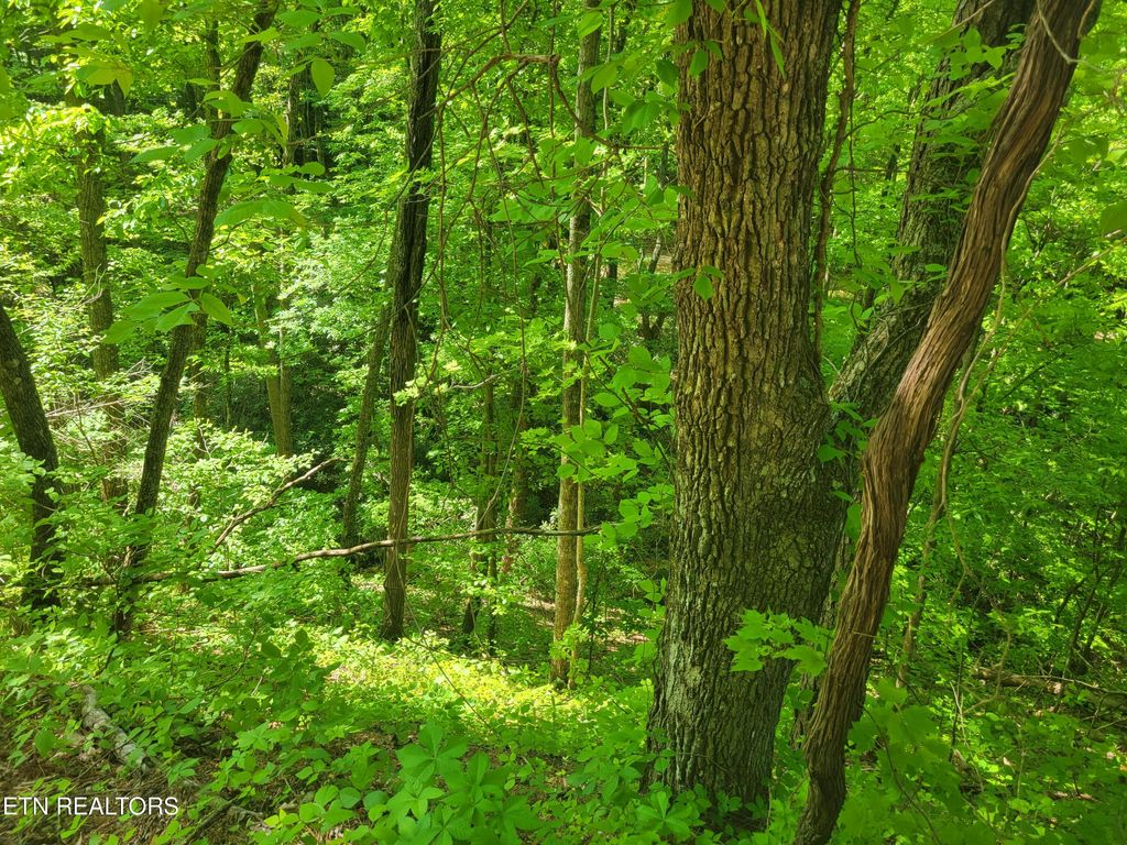 Photo of 8 John Sevier Drive, Sevierville, TN 37876 (MLS # 1300804)