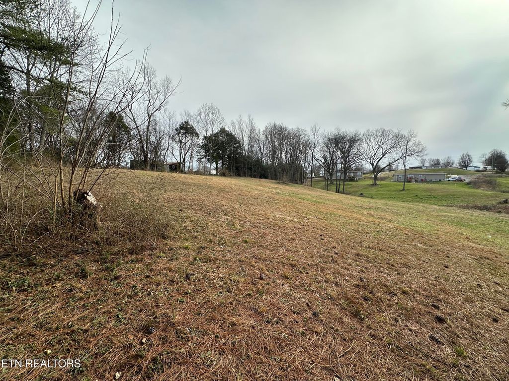 Photo of 32 Sweetwater Vonore Rd, Sweetwater, TN 37874 (MLS # 1327390)