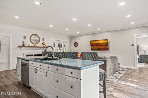 Tiny photo for 240 Gordon Drive, Spring City, TN 37381 (MLS # 1317342)