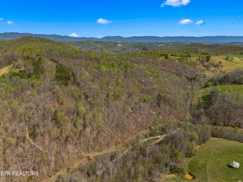 Tiny photo for 0 Greever Hollow Rd, Tazewell, TN 37879 (MLS # 1359370)