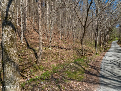 Tiny photo for 0 Greever Hollow Rd, Tazewell, TN 37879 (MLS # 1359370)