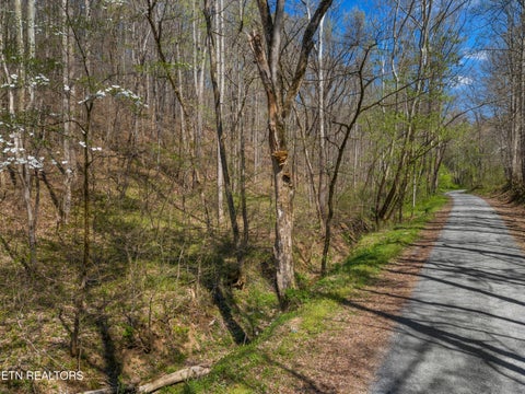 Tiny photo for 0 Greever Hollow Rd, Tazewell, TN 37879 (MLS # 1359370)